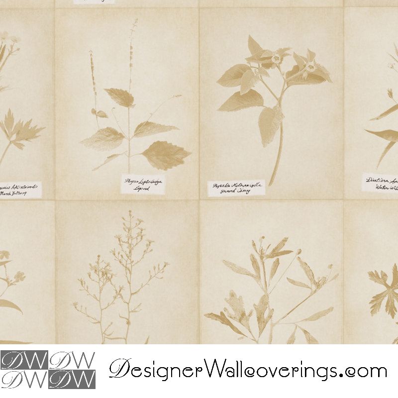 PLAINS CREEK BOTANIC by Ralph Lauren