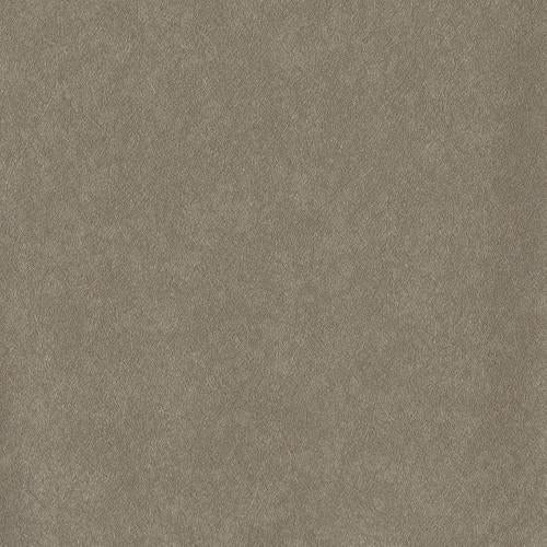 Hollywood Wallcoverings