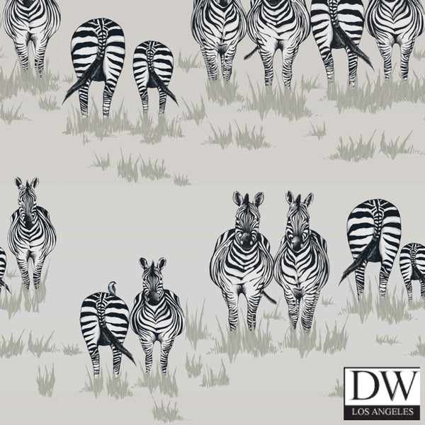 Dazzle Zebra Wallcovering - 2