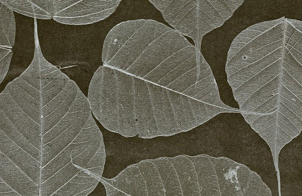 Rika Real Leaf | Phillipe Romano