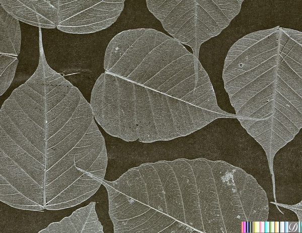 Rika Real Leaf Wallpaper | Phillipe Romano