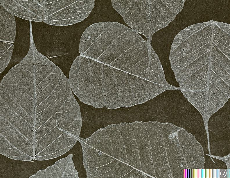 Rika Real Leaf Wallpaper | Phillipe Romano