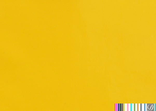 Patently Incredible - Upholstery Vinyl