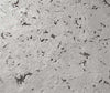 Corkytown Real Cork Wallpaper