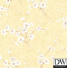 Teuri Island Cherry Blossom Wallpaper