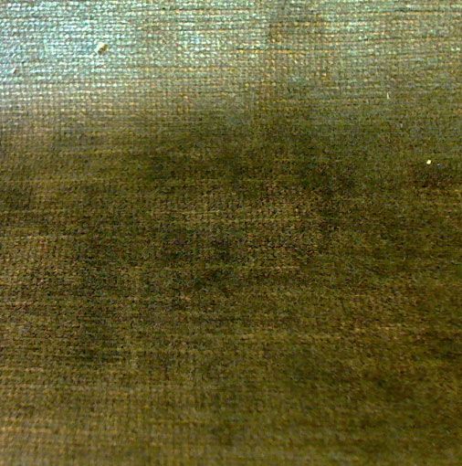 Classic Aged Velvet Fabric