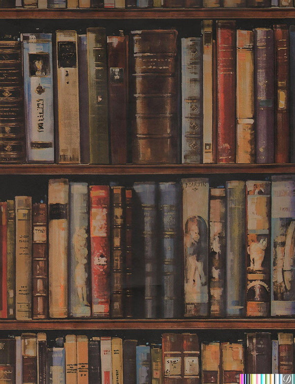 Going to the Library - Multi