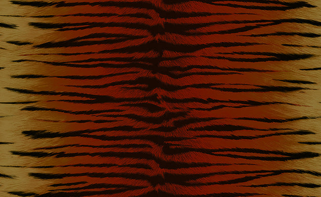 Carlos Cheetah Wallpaper