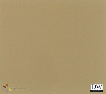 Natures Palette - Recycled Paint - Burned Sequoia