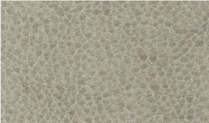 Urthfriendly TwoTone������ - Non-Pvc - Champagne