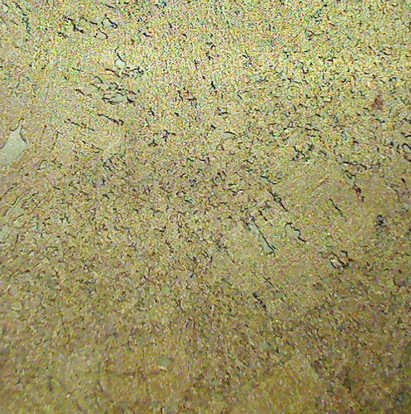 Florenza Cork Wallpaper | Phillipe Romano