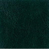 Glaze�� - Faux Vintage Leather - DeepForest