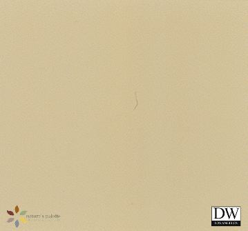 Natures Palette - Recycled Paint - Rustic Desert Valley