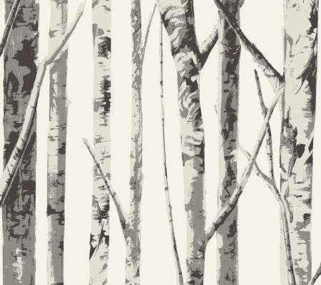 Bella Birch Trees - Charcoal Grey on White