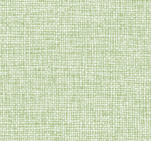 Mauwie - Celery | Daisy Bennett