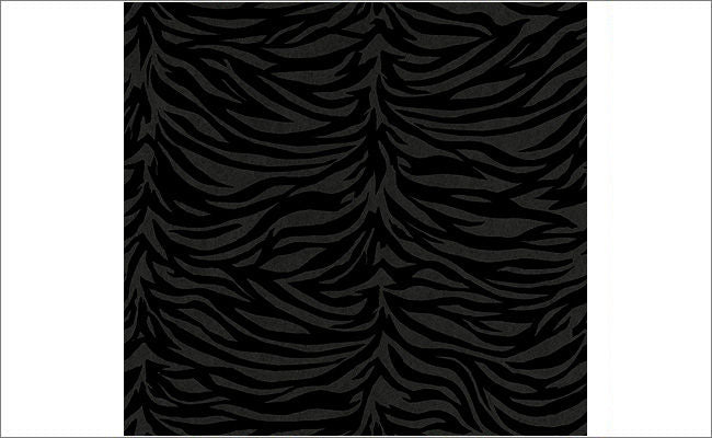 Zoro Zebra