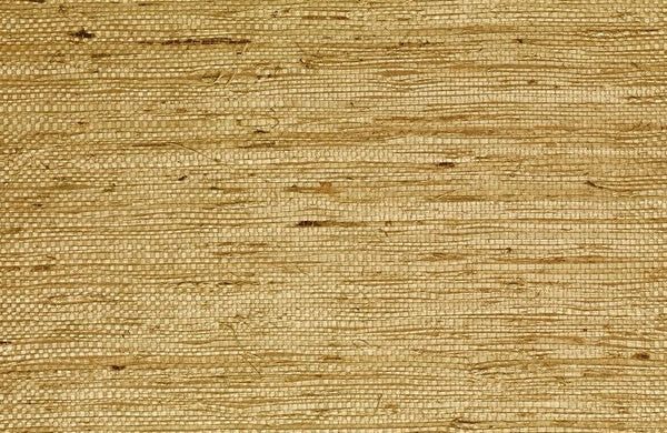 Kaopapa Striated Grasscloth | Phillipe Romano