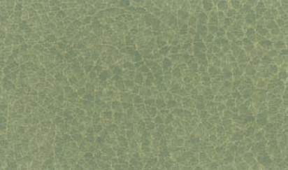 Urthfriendly TwoTone������ - Non-Pvc - Spring