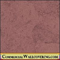 Peter's Plastered Walls