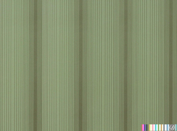 Samantha's Striated Stripe