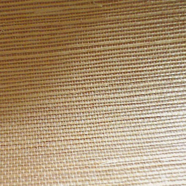 Hilary's Horizontal Grasscloth | Phillipe Romano