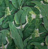 Cote D'Azure - Brazilliance Banana Leaf & Grape FABRIC
