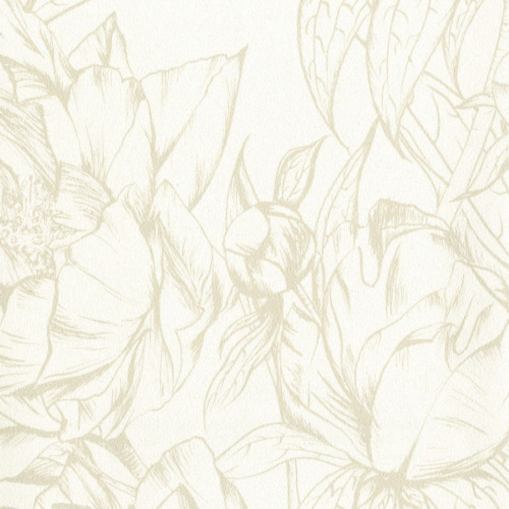 Hollywood Wallcoverings