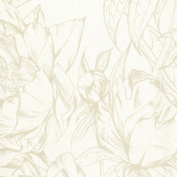 Hollywood Wallcoverings