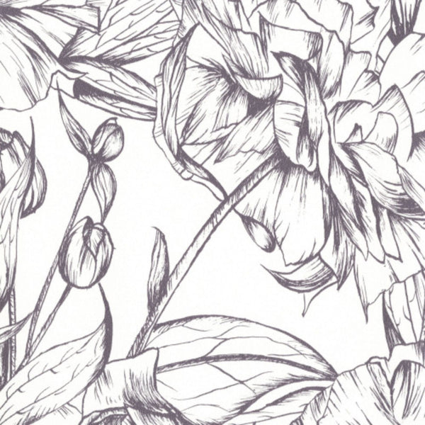 Hollywood Wallcoverings