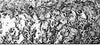 MIllion Dollar MIca Chip Wallpaper | Phillipe Romano