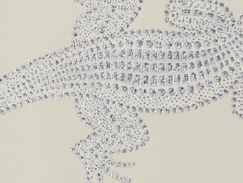 Lizzie Lizard Wallcovering - Electric Cool