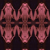 MAR-700 Deep Pink on Black Boudoir Ladies Dusty Rose designer-wallcoverings-los-angeles