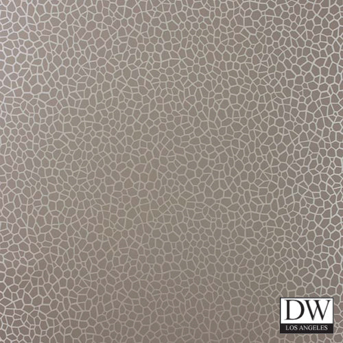 Dragon's Fly Wallcovering
