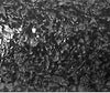 MIllion Dollar MIca Chip Wallpaper | Phillipe Romano