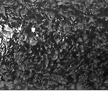MIllion Dollar MIca Chip Wallpaper | Phillipe Romano