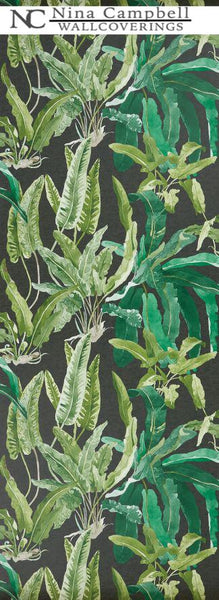 Nina Campbell Wallpaper #NCW4393-01 at Designer Wallcoverings - Your online resource since 2007