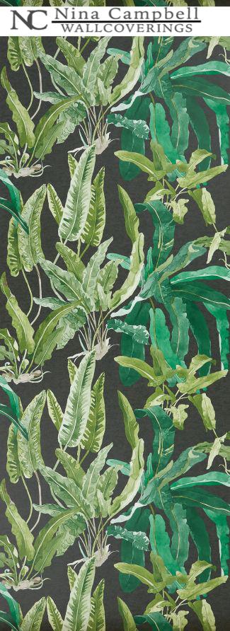 Authorized Dealer of Nina Campbell Wallpaper Wallpaper Samples and Purchasing available on all lines. The leading professional design trade resource for over 25 years. Service is our specialty. Call us at 1-888-373-4564